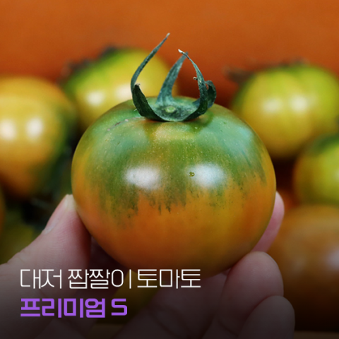 [2차 판매] 단짠 폭발하는 짭짤이 토마토