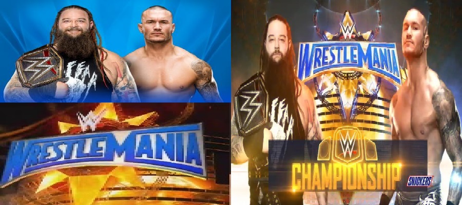WWE Title (Bray vs Orton).jpg